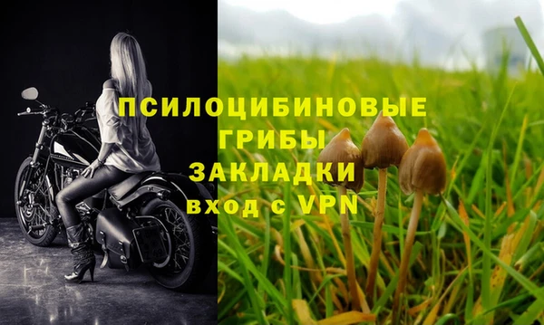 ешки Мегион