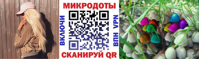 Псилоцибиновые грибы Psilocybine cubensis  Купить где  Торжок 