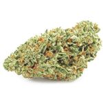 Шишки OG Kush  (Гидропоника, бошки) VHQ в Торжке